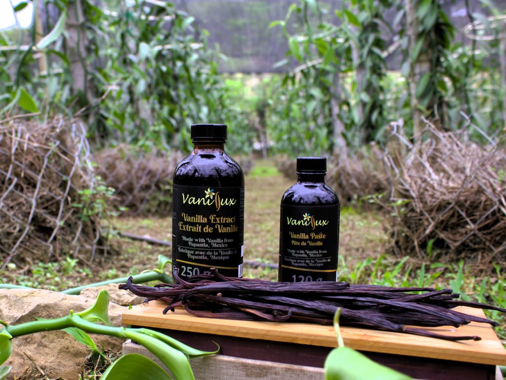 13_Productos_3_extracto_pasta_vaina_vainillal