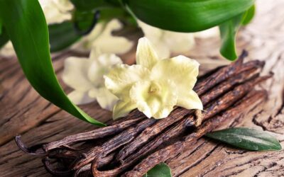 Vainilla, un aroma que conquista